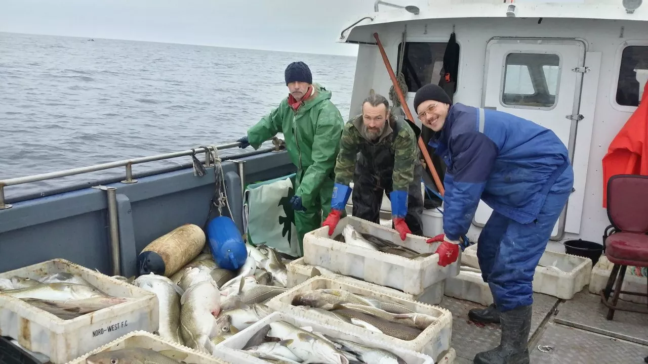 Морская рыбалка в Ура-Губе